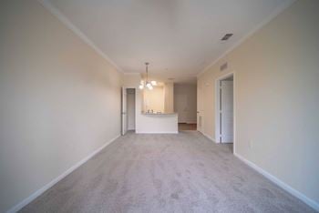 Carpet, ceramic tile, & wood style vinyl flooring